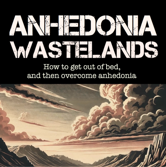 Anhedonia Wastelands ebook