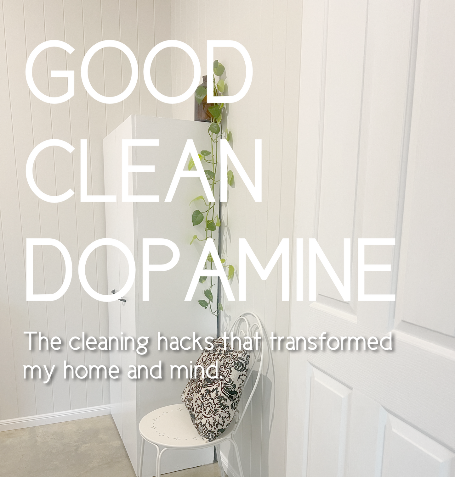 Good Clean Dopamine paperback